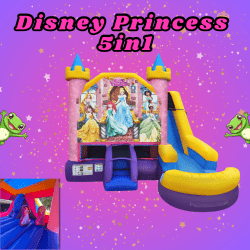 Disney Princess 5in1 Combo (Wet or Dry)